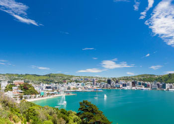 Wellington & Beyond